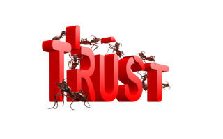 trust4