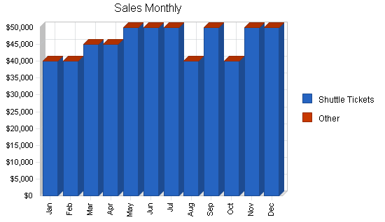 Airport shuttle business plan, strategy and implementation summary chart image