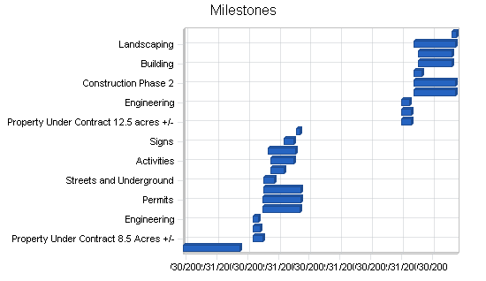 Amusement park business plan, strategy and implementation summary chart image