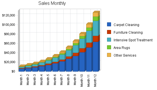 Carpet and upholstery cleaning services, strategy and implementation summary chart image