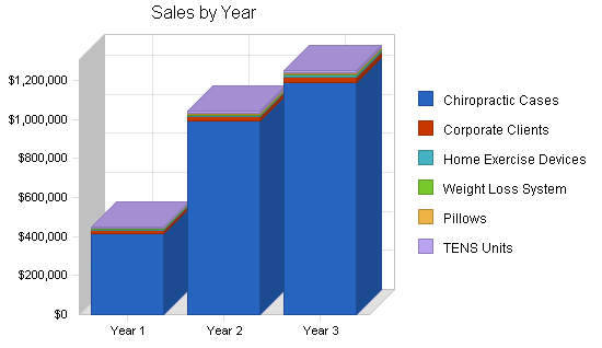 Chiropractic clinic business plan, strategy and implementation summary chart image