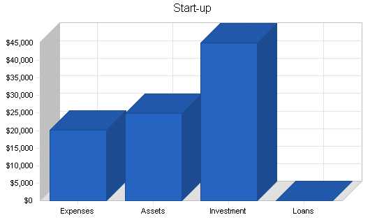 Chiropractic services business plan, company summary chart image