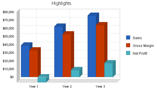 Custom jewelry business plan, executive summary chart image