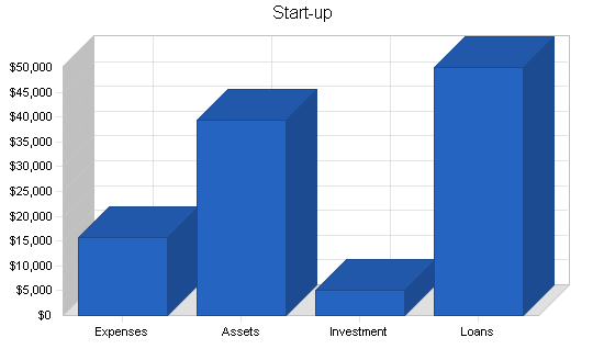 Sbp, electronics retailer business plan, company summary chart image