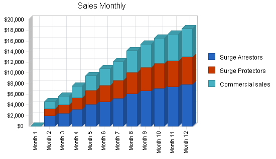 Sbp, electronics retailer business plan, strategy and implementation summary chart image