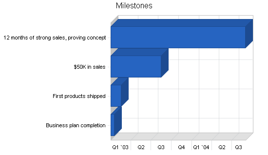 Sbp, electronics retailer business plan, strategy and implementation summary chart image