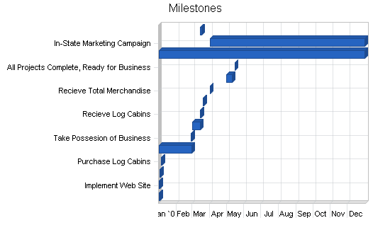 Fishing supplies and fly shop business plan, strategy and implementation summary chart image