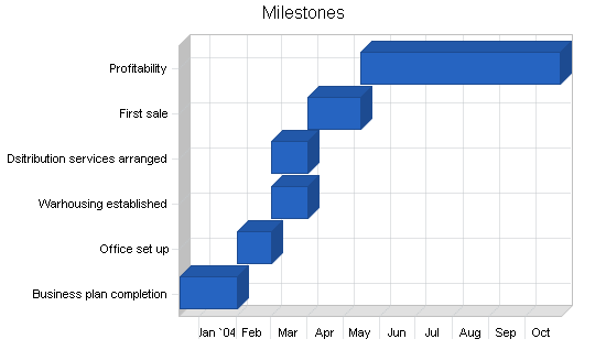 Fitness equipment business plan, strategy and implementation summary chart image