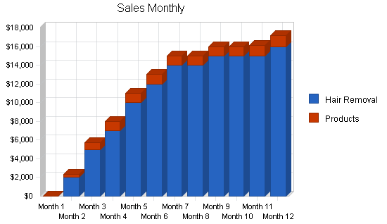 Hair removal business plan, strategy and implementation summary chart image