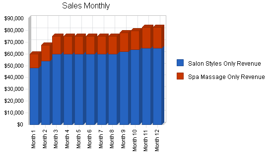 Health spa business plan, strategy and implementation summary chart image