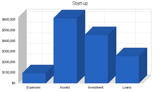 Holding company business plan, company summary chart image