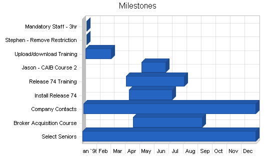 Insurance company business plan, strategy and implementation summary chart image