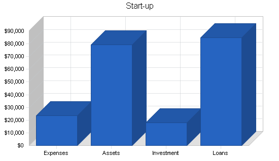 International travel agency business plan, company summary chart image