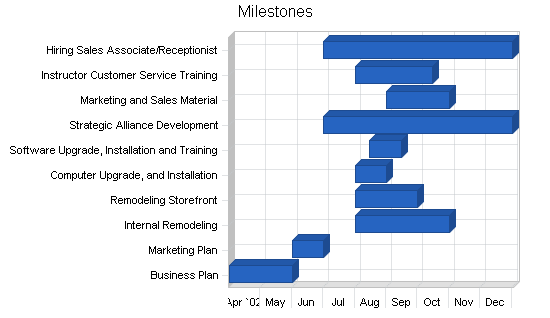 Karate business plan, strategy and implementation summary chart image