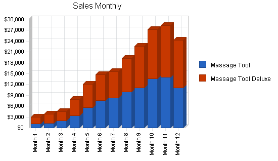 Massage products business plan, strategy and implementation summary chart image