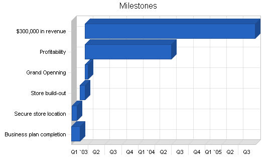 Maternity clothing business plan, strategy and implementation summary chart image