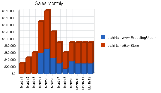 Maternity Clothing Online Business Plan Example