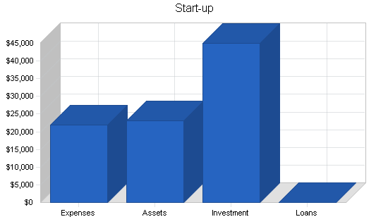 Movie theater business plan, company summary chart image