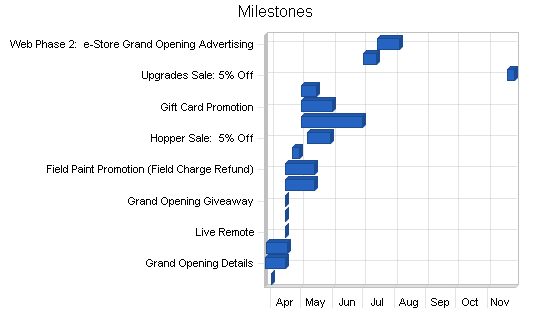 Paintball products retail business plan, strategy and implementation summary chart image