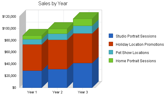 Pet photography business plan, strategy and implementation summary chart image