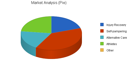 Physical therapy massage business plan, market analysis summary chart image