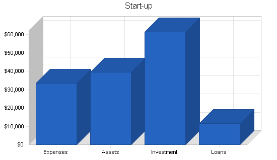 School fundraising business plan, organization summary chart image