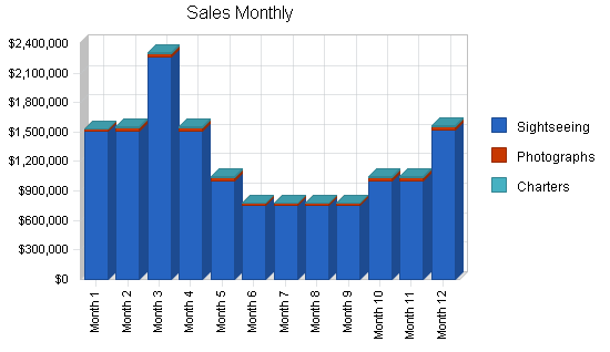 Sightseeing bus tours business plan, strategy and implementation summary chart image