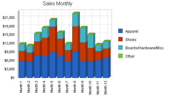 Skateboard gear retail business plan, strategy and implementation summary chart image