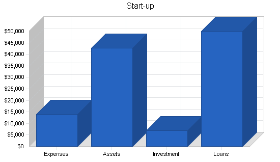 Skateboard gear retail business plan, company summary chart image