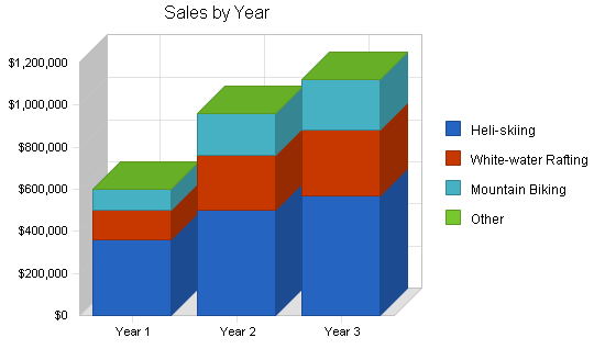 Travel agency business plan, strategy and implementation summary chart image